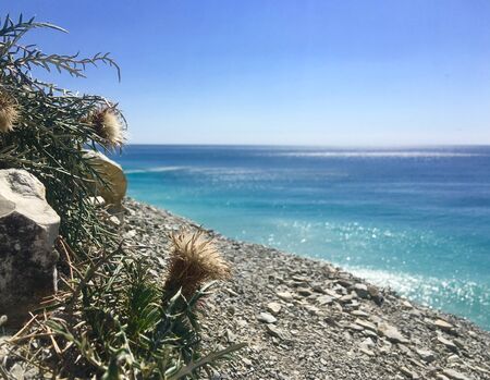 sea view from the cliff in summer. sea of rock. Summer. Sosnovka beach