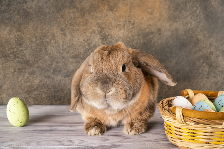 Easter chubby bunny raised his ear. Wicker basket with festive Easter eggs. Spring family holiday.の写真素材