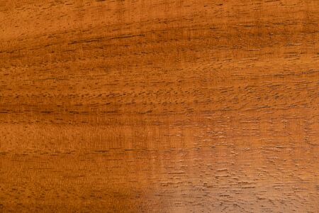 Textured wooden board. Brown background for photos. Parquet board.の写真素材