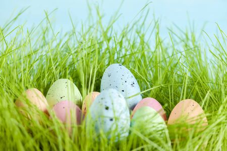 Colorful multi-colored Easter eggs lie on the green grass. Painted eggs on the lawn.の写真素材