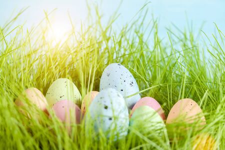Colorful multi-colored Easter eggs lie on the green grass. The sun illuminates the painted eggs on...