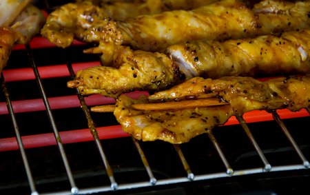  Food-Grill, chicken meat in marinade on electric grillの写真素材