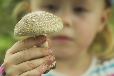 Child holds mushrooms (Macrolepiota procera) in handの写真素材