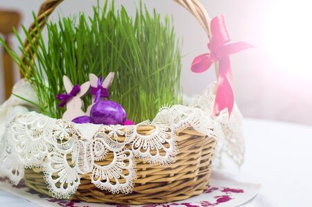 Easter eggs in a basket with sprouted wheat.の写真素材
