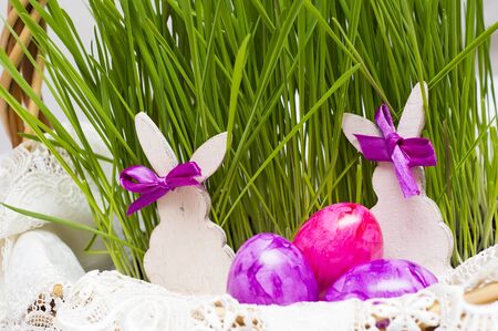 Easter theme, bright green wheat and brightly colored eggs pink and violet colorsの写真素材