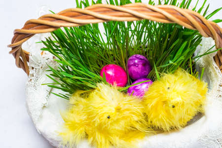 Easter eggs in a basket with sprouted wheat.Next to him sit decorative yellow chickens