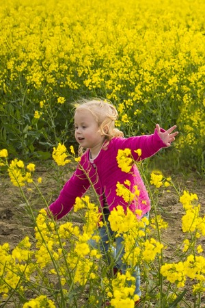 Children are having fun in the field with rapeの写真素材