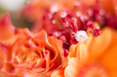 bright floral background in not focus.の写真素材