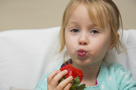 little girl in the kitchen eating a huge ripe strawberry, having fun and exultingの写真素材