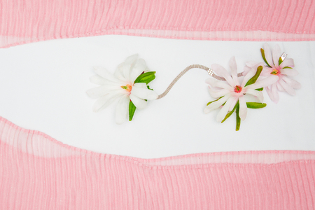 flowers of a spring magnolia on a white background in a combination of light fabrics gently pink tonesの写真素材