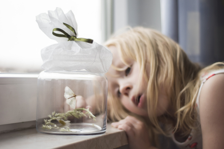 child is looking at a white butterfly in a glass jarの写真素材