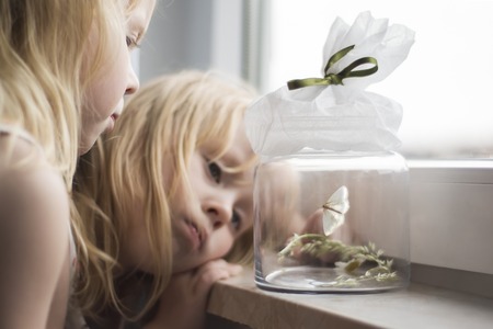 Children looking at the moth they caughtの写真素材