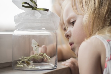 Girl looking at moth in a jarの写真素材