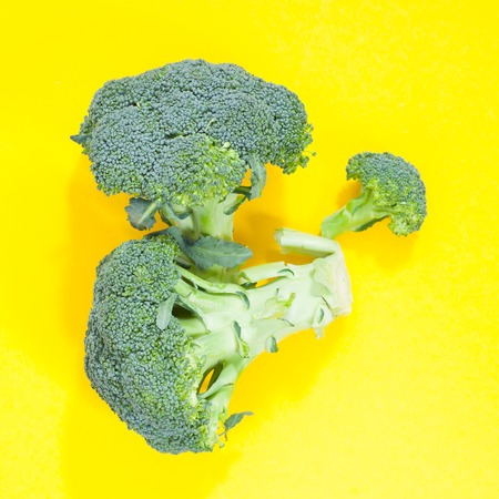 part of broccoli cabbage close up on yellow backgroundの写真素材
