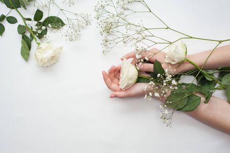 female hands hold delicate white roses on a white backgroundの写真素材