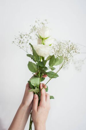 female hands hold delicate white roses on a white backgroundの写真素材