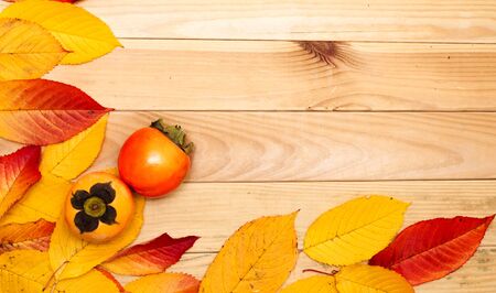 autumn background, yellow leaves, blank sale background, autumn sale,の写真素材