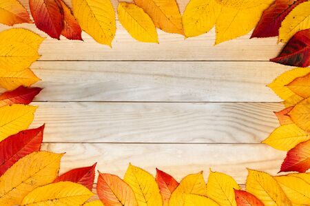 yellow autumn leaves on a wooden background, blank background.の写真素材