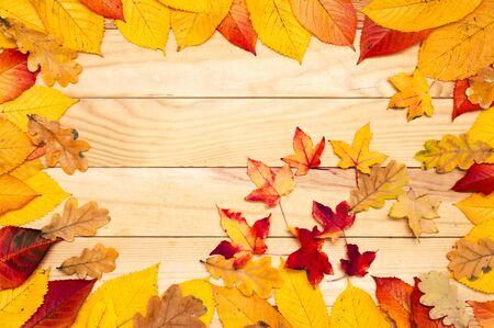 autumn background, yellow leaves, blank sale background, autumn sale,の写真素材