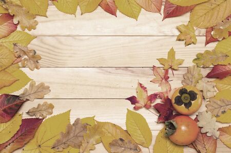 autumn background, yellow leaves, blank sale background, autumn sale,の写真素材