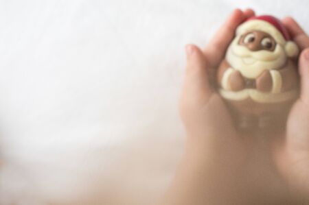 baby pens holding a santa claus chocolate figureの写真素材