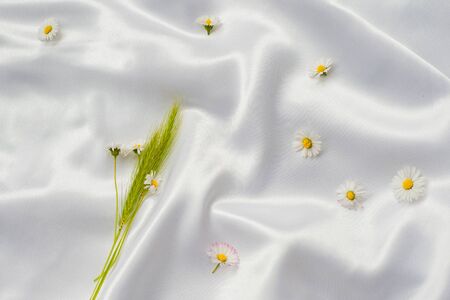 Chamomile and wheat on silk background hand care conceptの写真素材