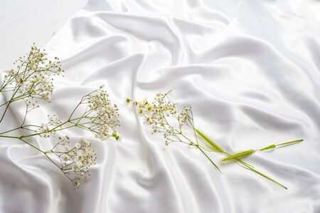 Chamomile and wheat on silk background hand care conceptの写真素材