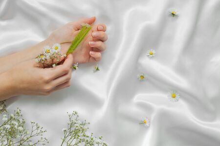 beautiful young hands on silk background with healing chamomileの写真素材