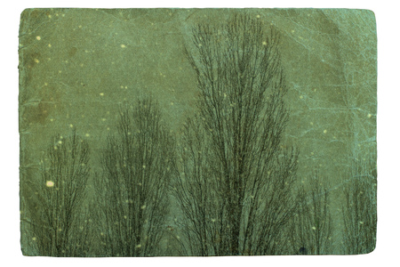 textured old paper background with decidous tree covered in snowの写真素材