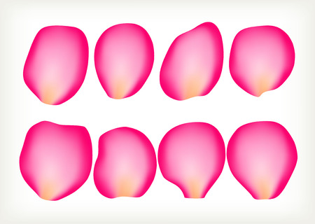 Petals of rosesのイラスト素材