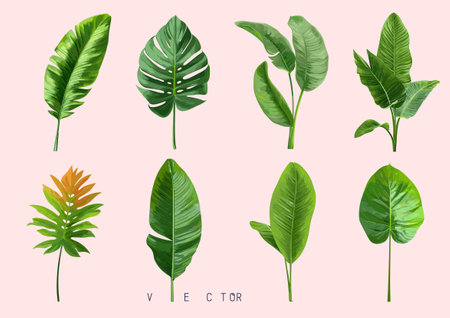 Tropical different type exotic leaves set. Jungle plants.のイラスト素材