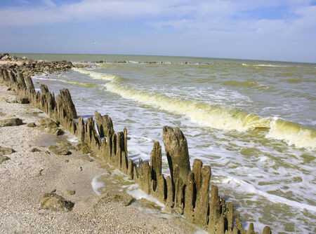 fancy fence on the beachの写真素材