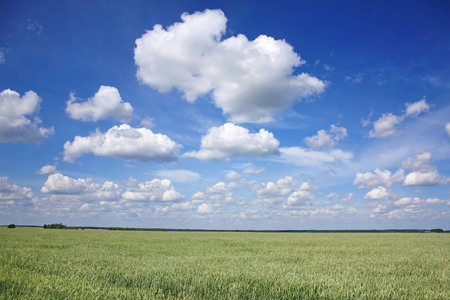 picturesque sky over wheat fieldの写真素材