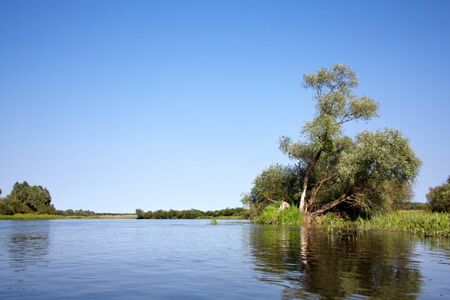picturesque trees on a small island in the middle of a calm riverの写真素材