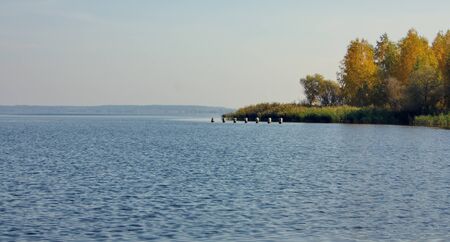 autumn lake in clear weather with colorful trees in the mist on the shoreの写真素材