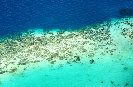 Aerial view of coral reefの写真素材