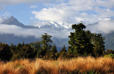 Fox Glacier, New Zealand の写真素材