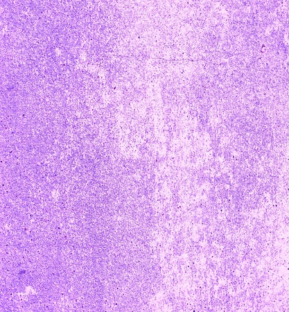 Light Purple concrete wallの写真素材