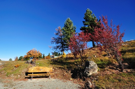 Wooden Bench and Autumn Foliage の写真素材