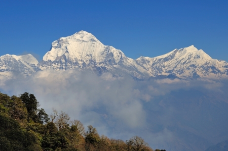 Annapurna Himalaya Region with Rhodondren, Spring Seasonの写真素材