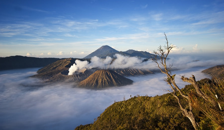 Bromo Mountain in Tengger Semeru National Park, East Java, Indonesiaの写真素材