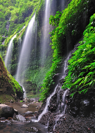 Madakaripura Waterfall in Bromo Tenger Semeru National Park, East Java, Indonesia の写真素材