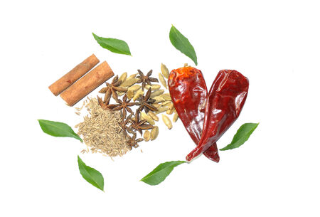 mix of spice Cinnamon, Star Anise, dried chili, cardamon, curry leavesの写真素材