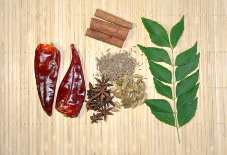 mix of spice Cinnamon, Star Anise, dried chili, cardamon, curry leavesの写真素材