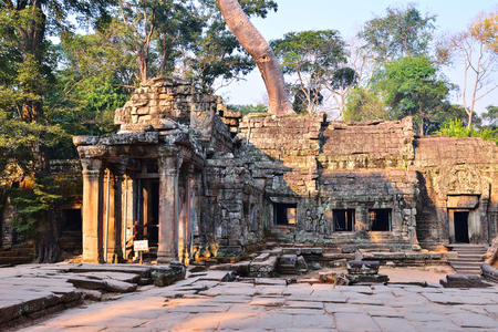 Ta Phrom temple illuminated by early morning light. Ta Phrom is also known as jungle temple. Its one of the famous temple in Angkor wat temple complex in Siem Reap, Cambodia.の写真素材