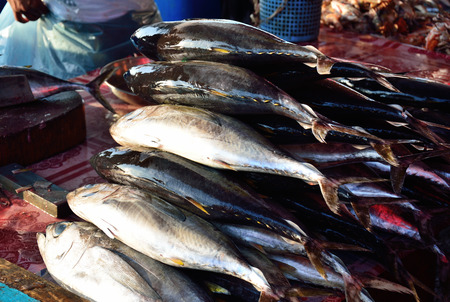 Fresh Tuna fish on display for sale in a wet fish market Kota Kinabalu Sabah Malaysia.の写真素材