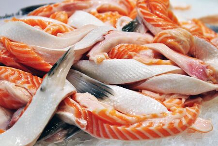 Fresh and raw Salmon bellyの写真素材