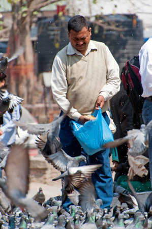 Kathmandu, Nepal - March 19, 2013: Unidentified man feeding a flock of pigeons in Patan Durbar square. Durbar Square in Kathmandu Valley.のeditorial素材