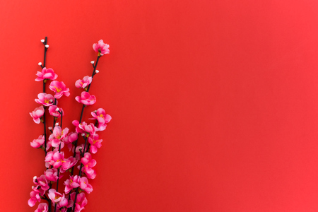 Chinese New Year Background, Plum Flowers on Red Background.の写真素材