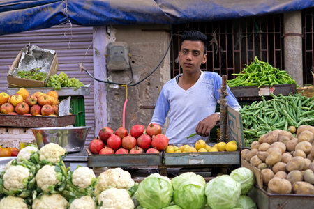 Mandawa, India - February 24, 2018: Young man selling fruits and vegetables at the street of Mandawa in Jhunjhunu district of Shekhawati region of Rajasthan.のeditorial素材
